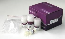 Self Photos / Files - Nucleic Acid Purification