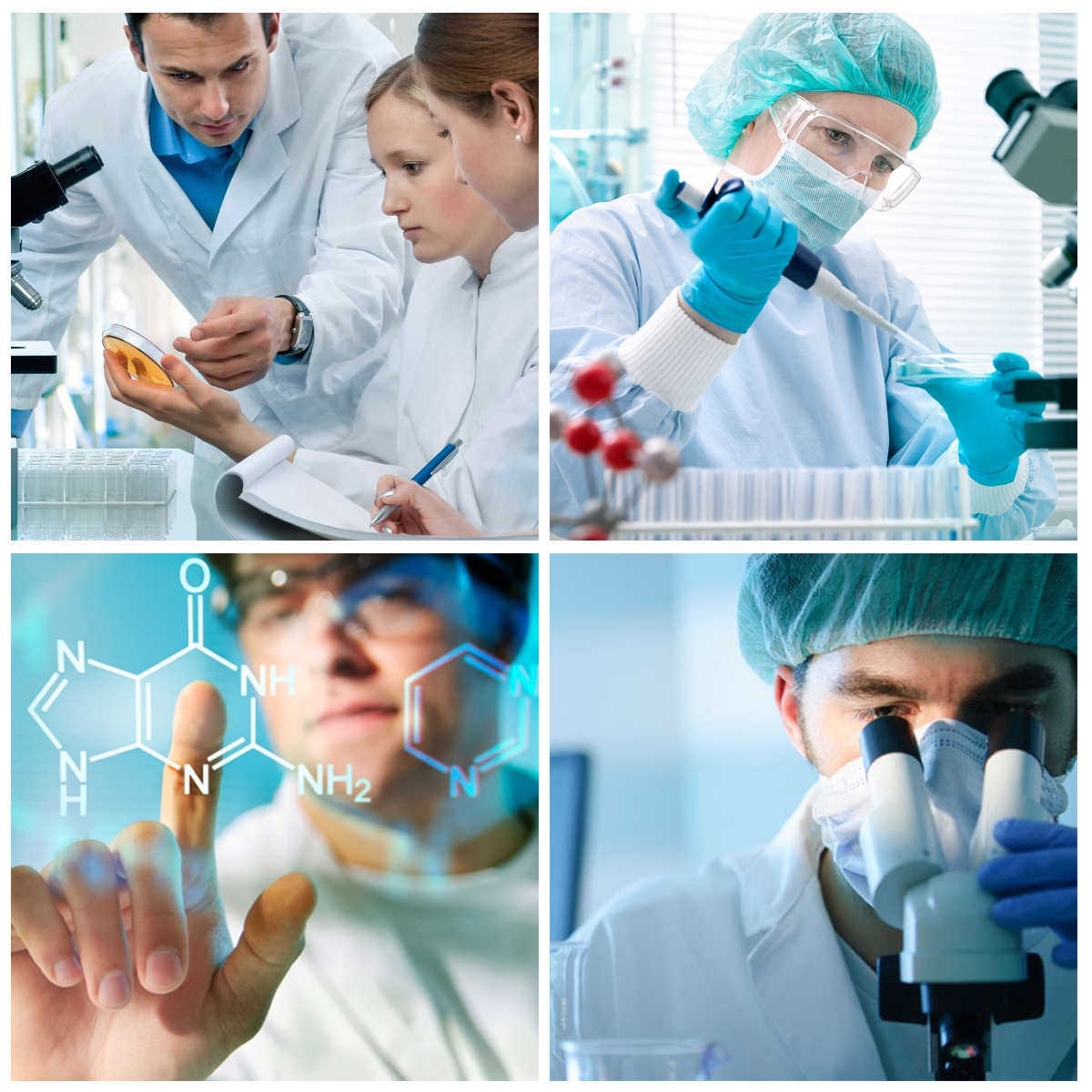 Public Photos / Files - sc-edm-4lab