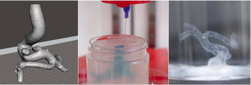 Public Photos / Files - Allevi effect pic