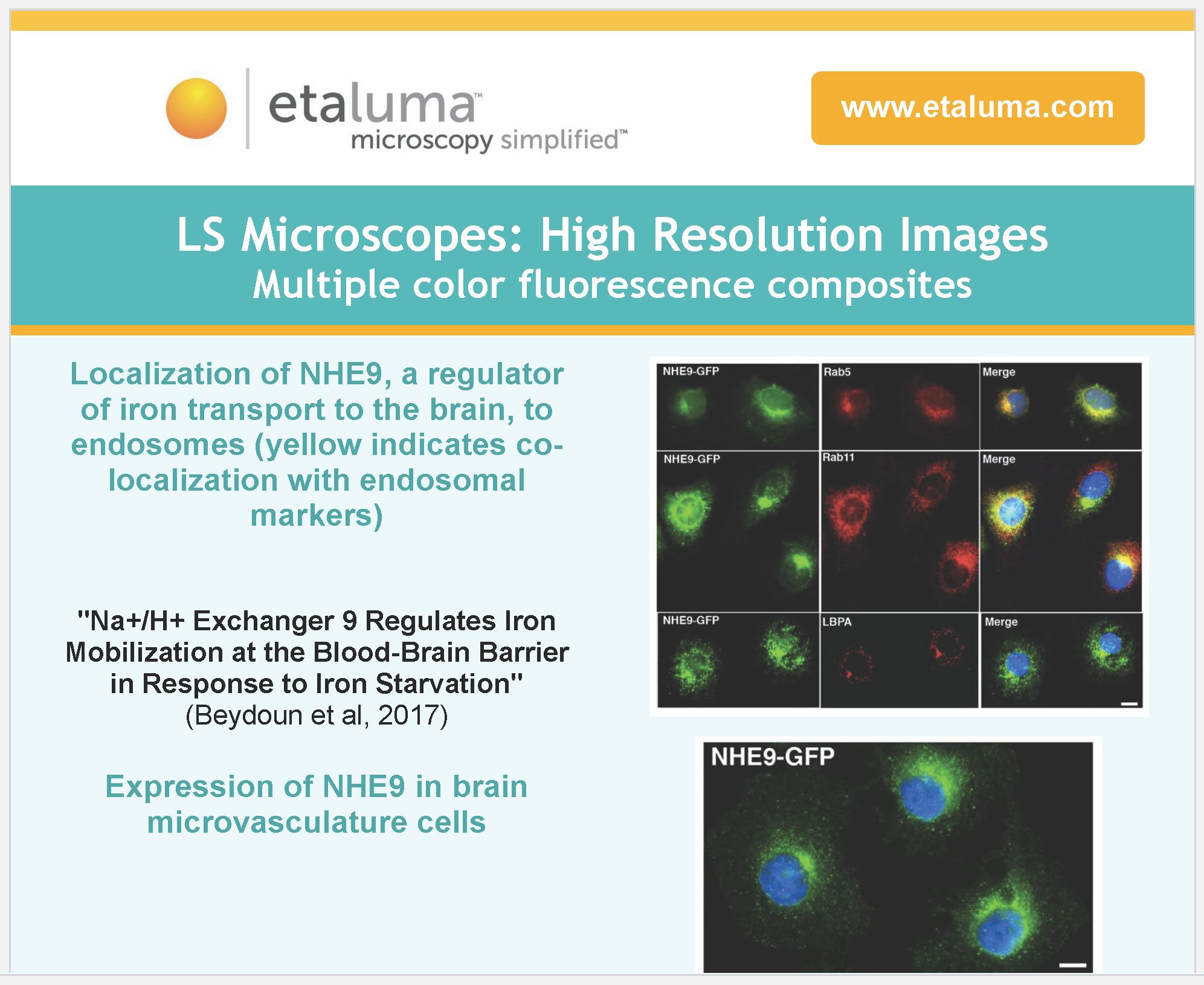 Self Photos / Files - mary-a-framed