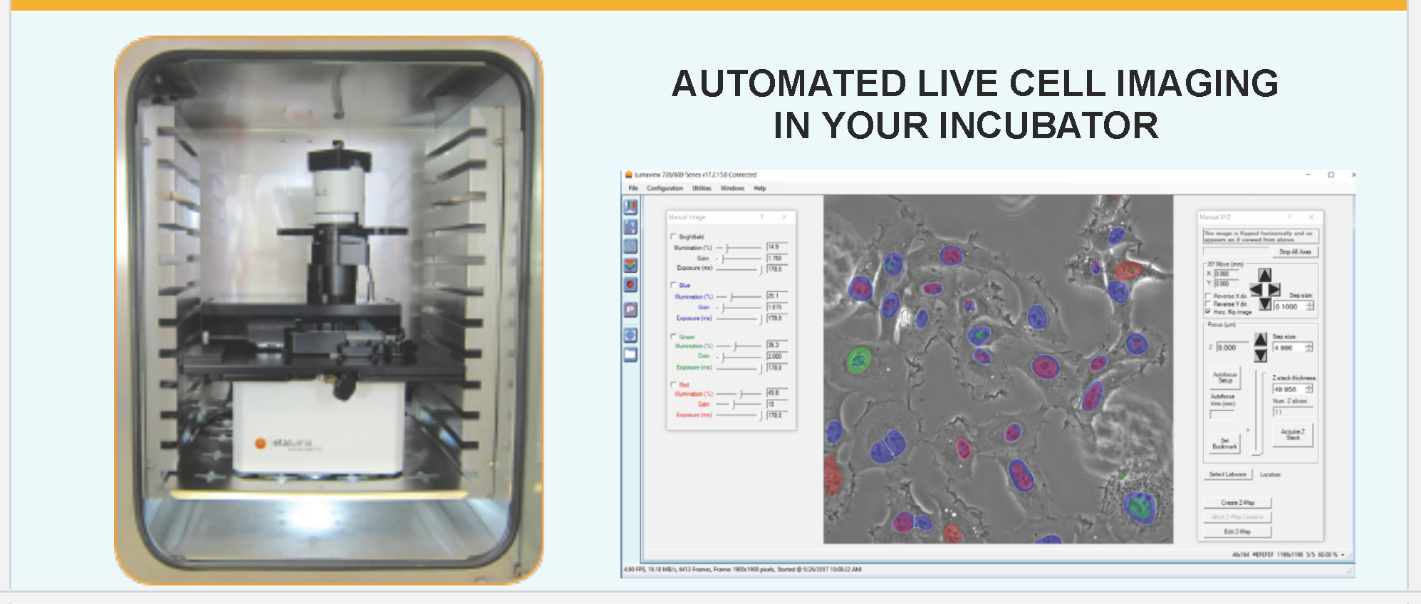 Self Photos / Files - mary-c-framed
