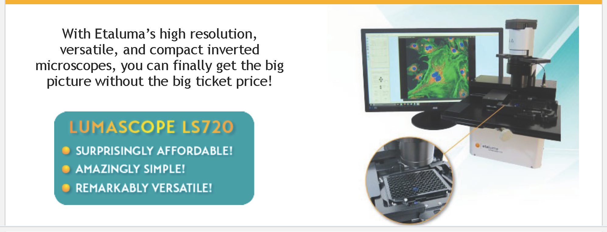 Self Photos / Files - mary-d-framed