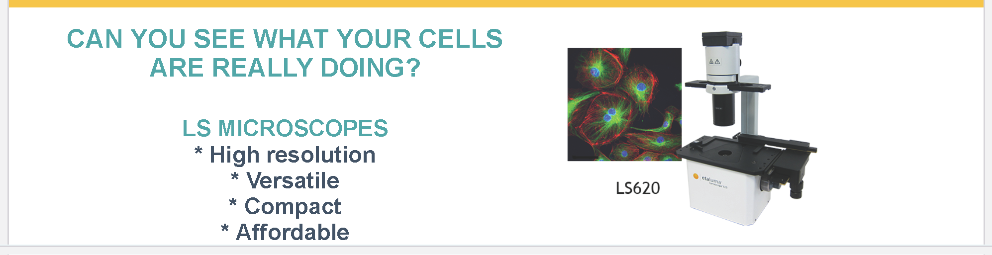 Self Photos / Files - mary-e-framed