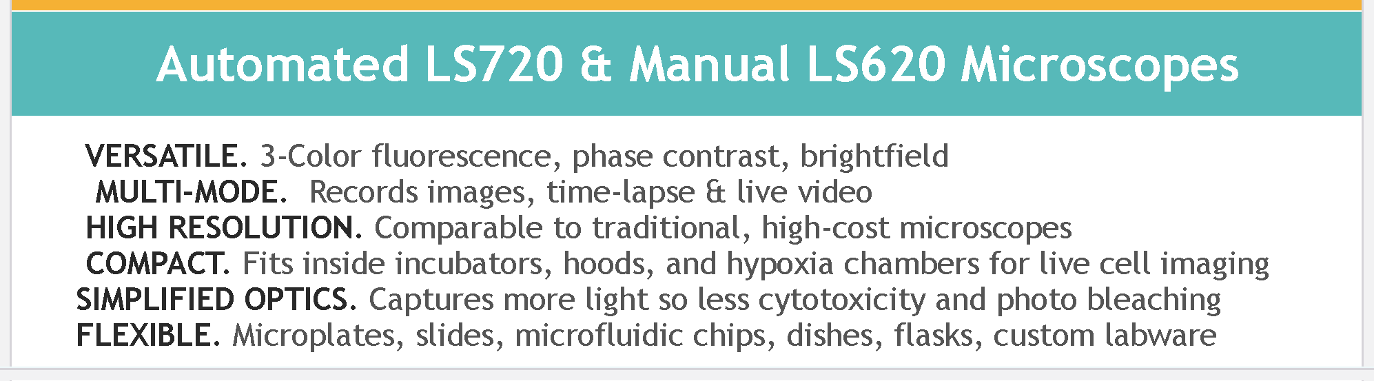 Self Photos / Files - mary-f-framed