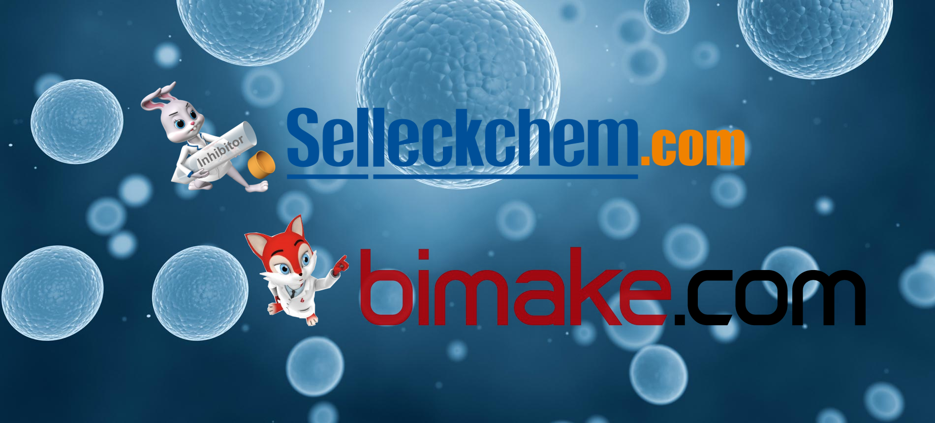 Self Photos / Files - sc-bm-feature-1900-860