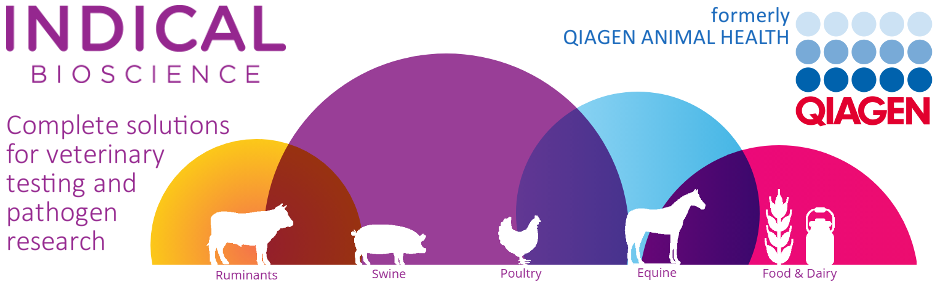 Self Photos / Files - ef9e1290-7efa-408a-a957-4b4ae090645e