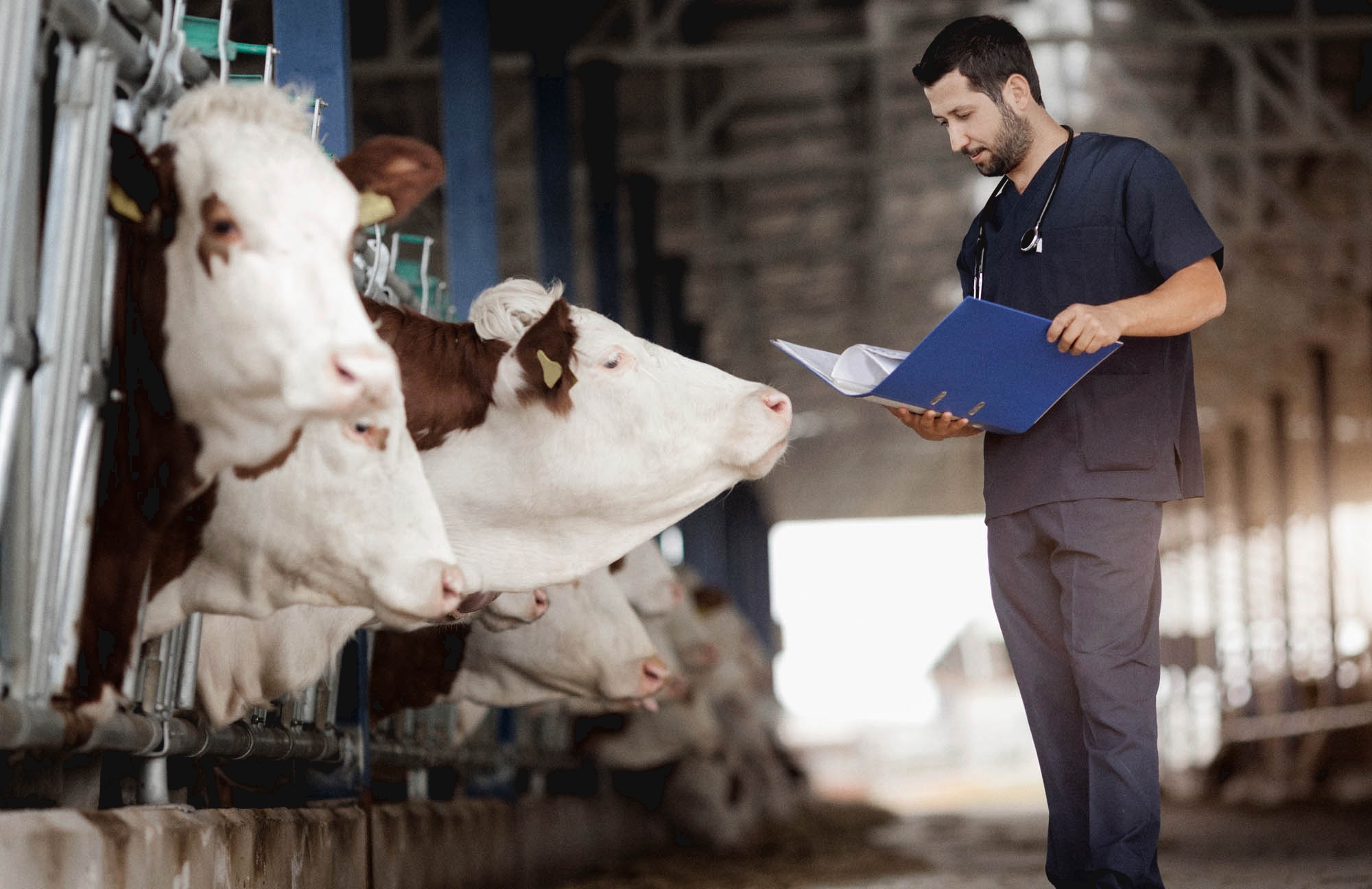 Self Photos / Files - indical-bg-vet